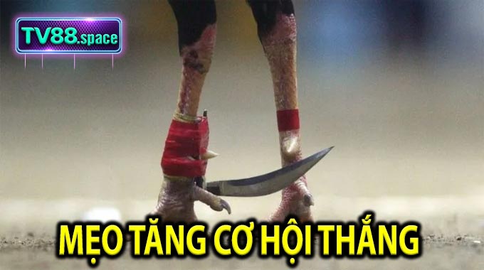 Mẹo tăng cơ hội thắng 